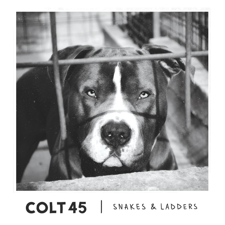 Image of Snakes & Ladders EP