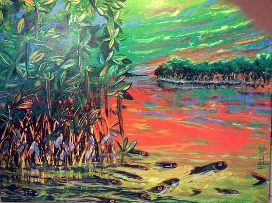Image of Mullet and mangroves