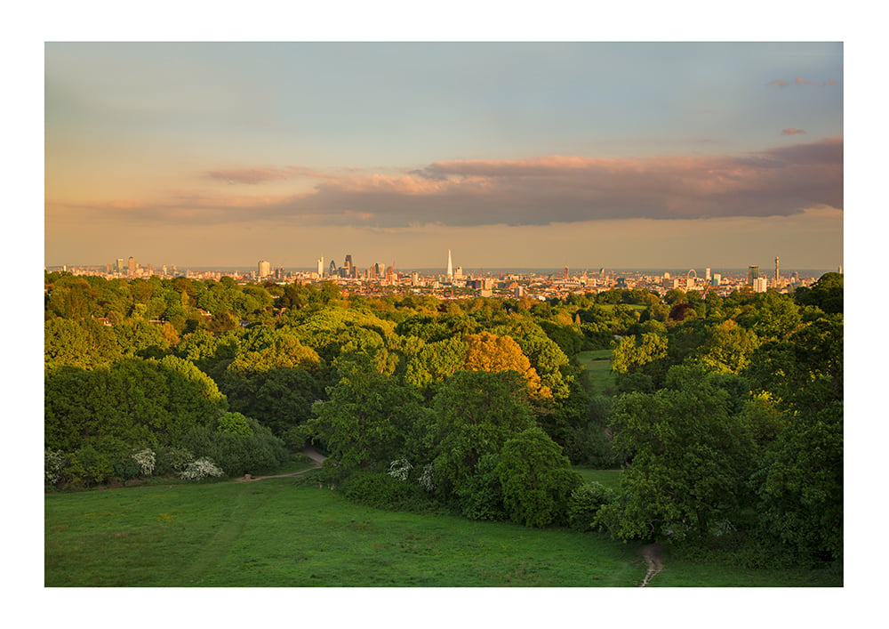 Image of View of London from Hampstead Heath