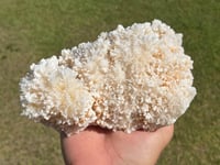 Image 3 of Aragonite On White Calcite Specimen #1243