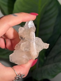 Image 2 of BOWTIE STILBITE X DIAMOND APOPHYLITE -INDIA- J