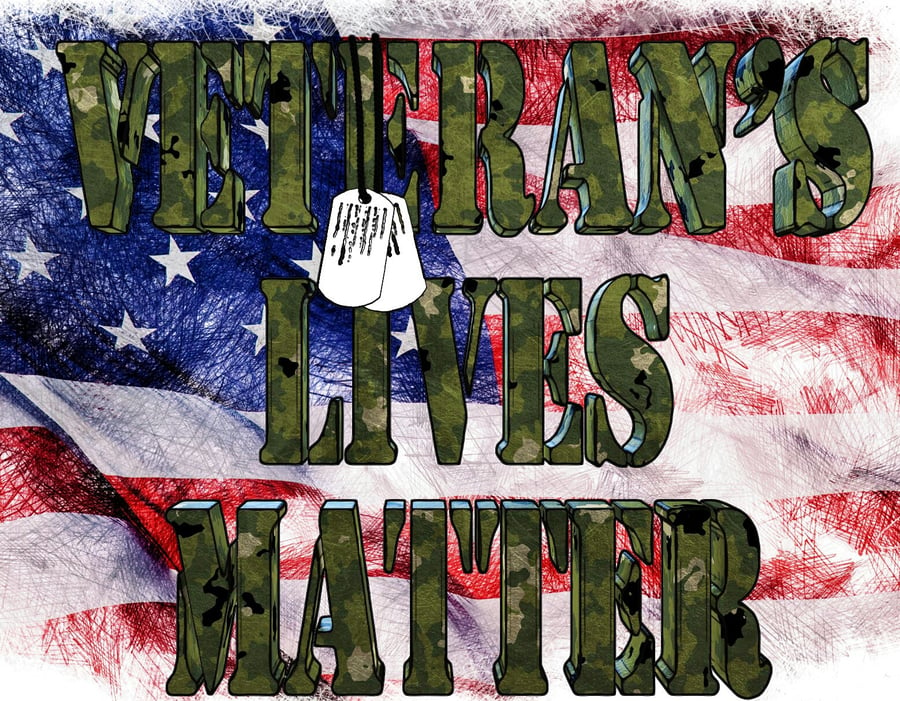 Image of VETERAN'S LIVES MATTER TEE