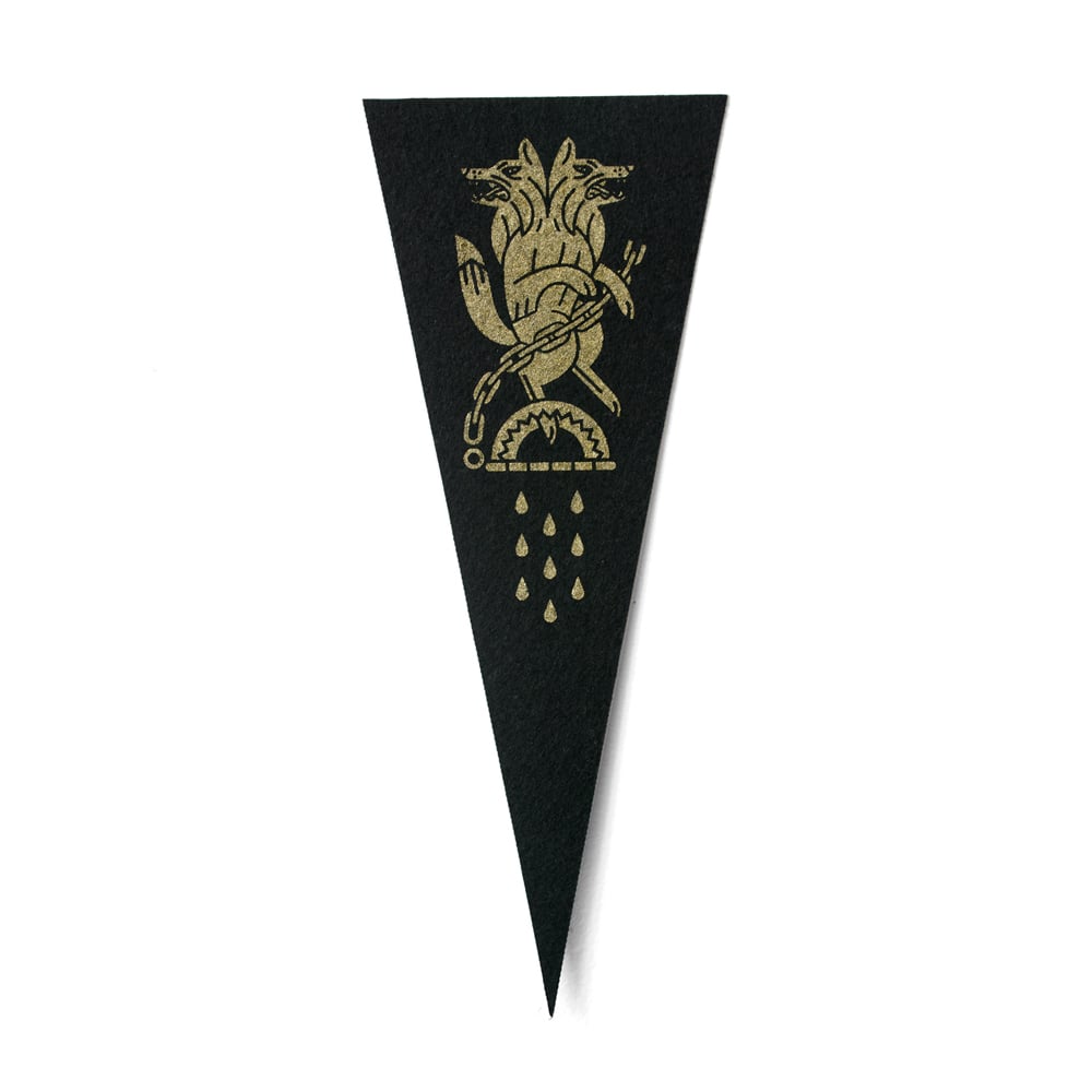 Image of Wolf in the Trap