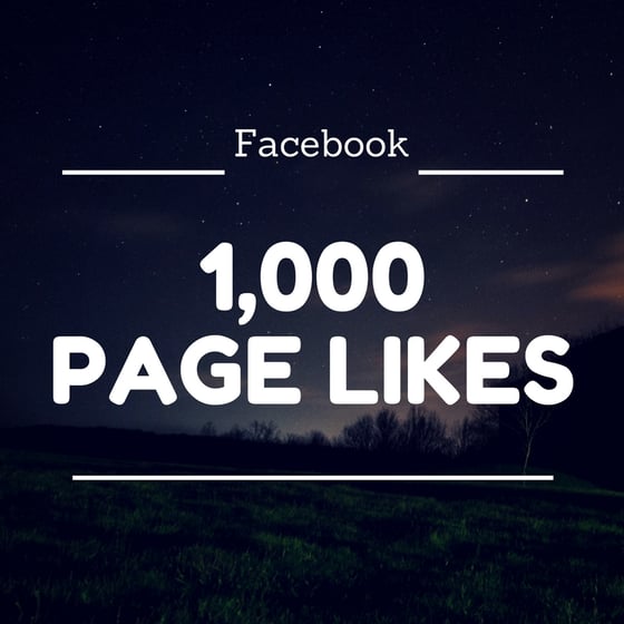 Image of Facebook Fan Page 1,000 Likes