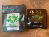 Image 2 of Mainy Beltz [(Motorbreath #15 x Rainbow Belts F3) X Lantz F2]