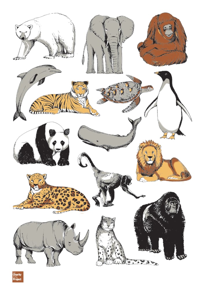 May Van Millingen x WWF — thecharityartsproject May Van Millingen x WWF — thecharityartsproject
