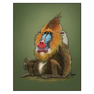 Image of "Mandrill" Print
