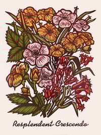 Resplendant Crescendo
