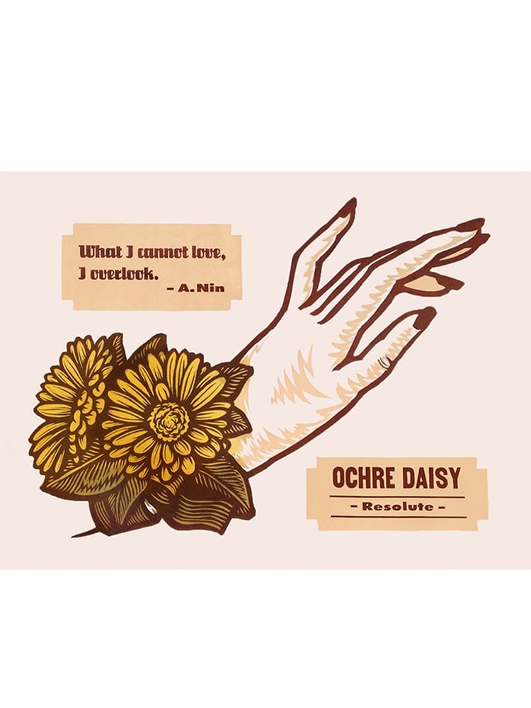 Image of Ocher Daisy