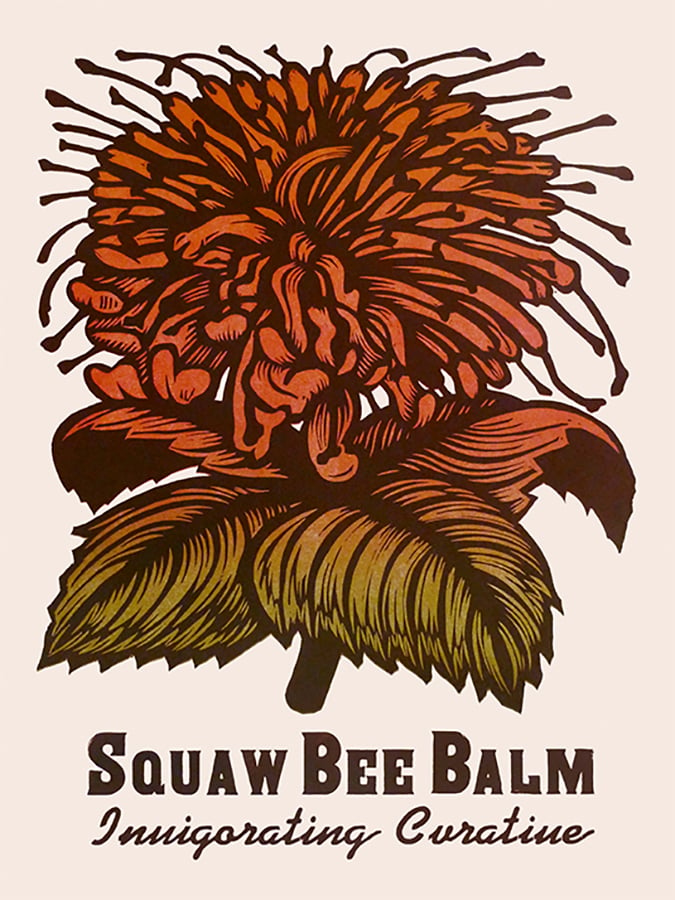 Image of Squaw Bee Balm