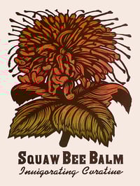 Squaw Bee Balm