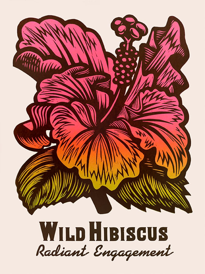 Image of Hibiscus
