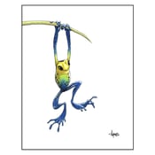 Image of "Hanging Frog" Print