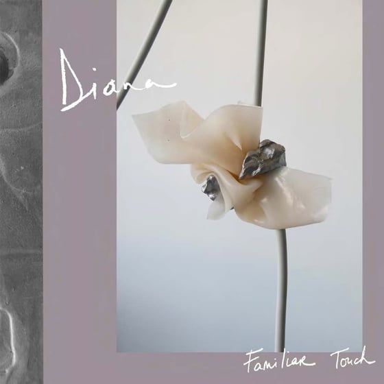 Image of DIANA - Familiar Touch (CD) 