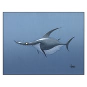Image of "Shark" Print