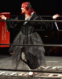 Image 1 of LONG ENTRANCE ROBE