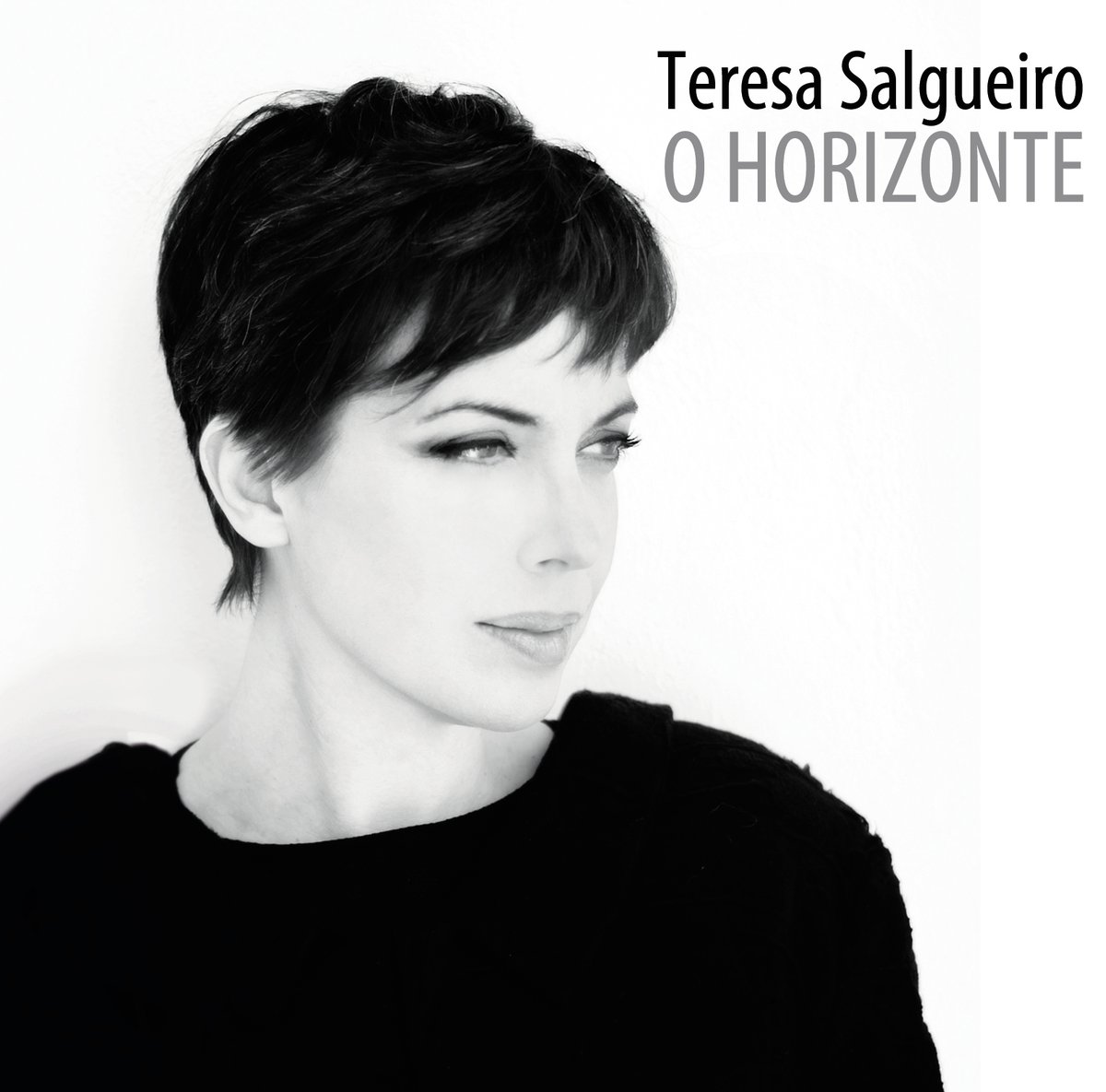 Teresa Salgueiro — Teresa Salgueiro 