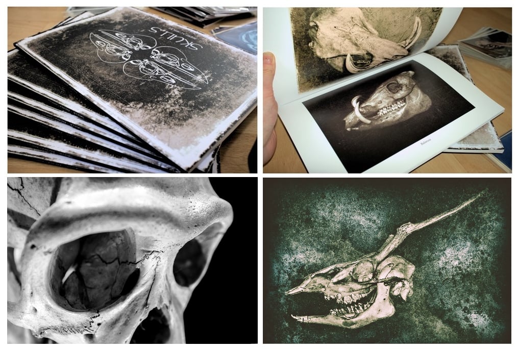 Image of Book: Skulls