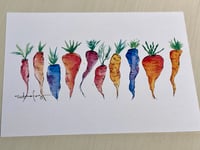 Image 2 of Colorful Carrots 