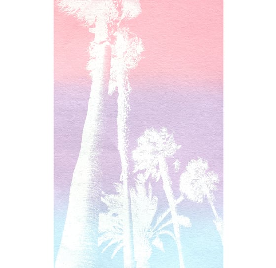 Image of White Palm Trees