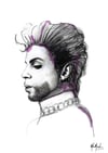 Prince - Limited Edition