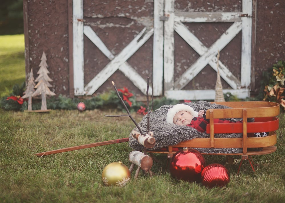 Image of Little Christmas Barn Mini Session  Saturday November 12th 