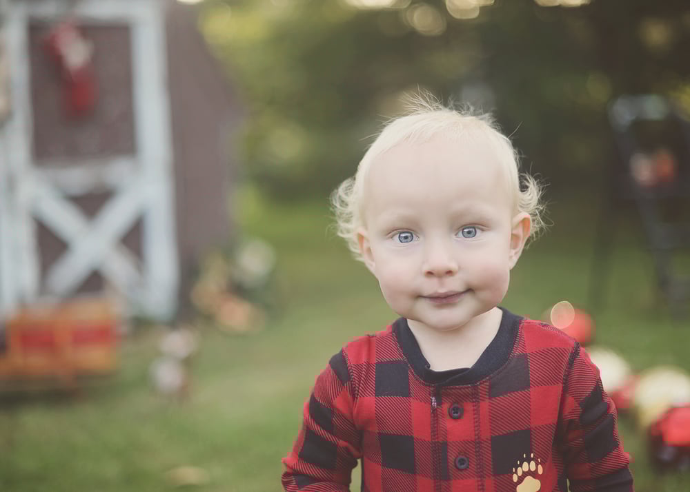 Image of Little Christmas Barn Mini Session  Sunday November 13th