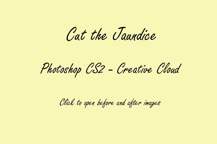 Image of PS CS2-CC : Cut the Jaundice Action © Son Kissed Photography