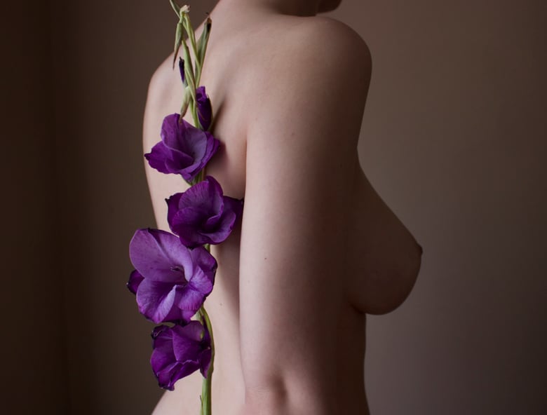 Image of Gladiolus 2.0 purple 