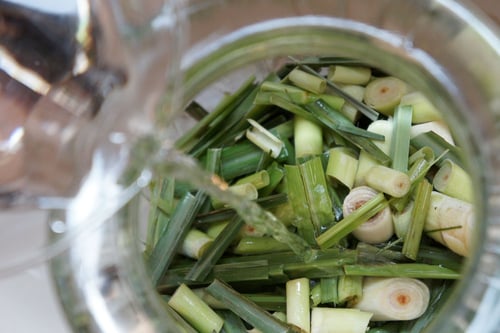 Image of LEMONGRASS spagyric tincture - alchemically enhanced plant extraction