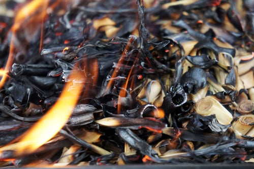 Image of LEMONGRASS spagyric tincture - alchemically enhanced plant extraction