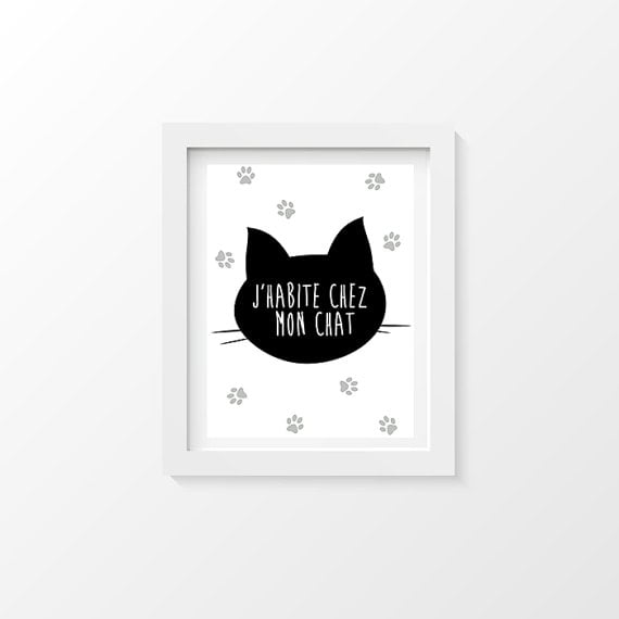 Image of Affiche "J'habite chez mon chat"