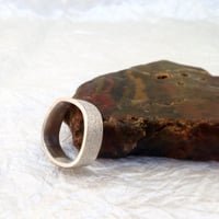 Image 2 of the freeze band