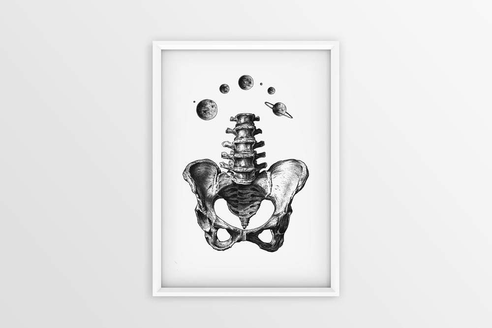 Image of 'Anatomy 2' - Print