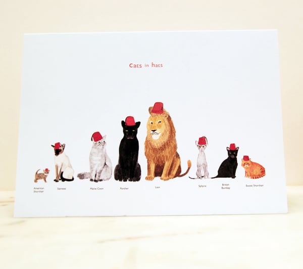Image of Cats in Hats card