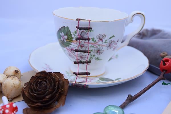 Image of Fairy / miniature teacup garden kit