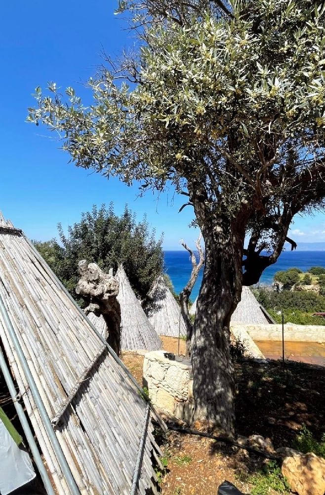 Image of Full Training 