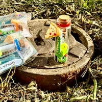 Image 4 of Turtles - Message in a Bottle