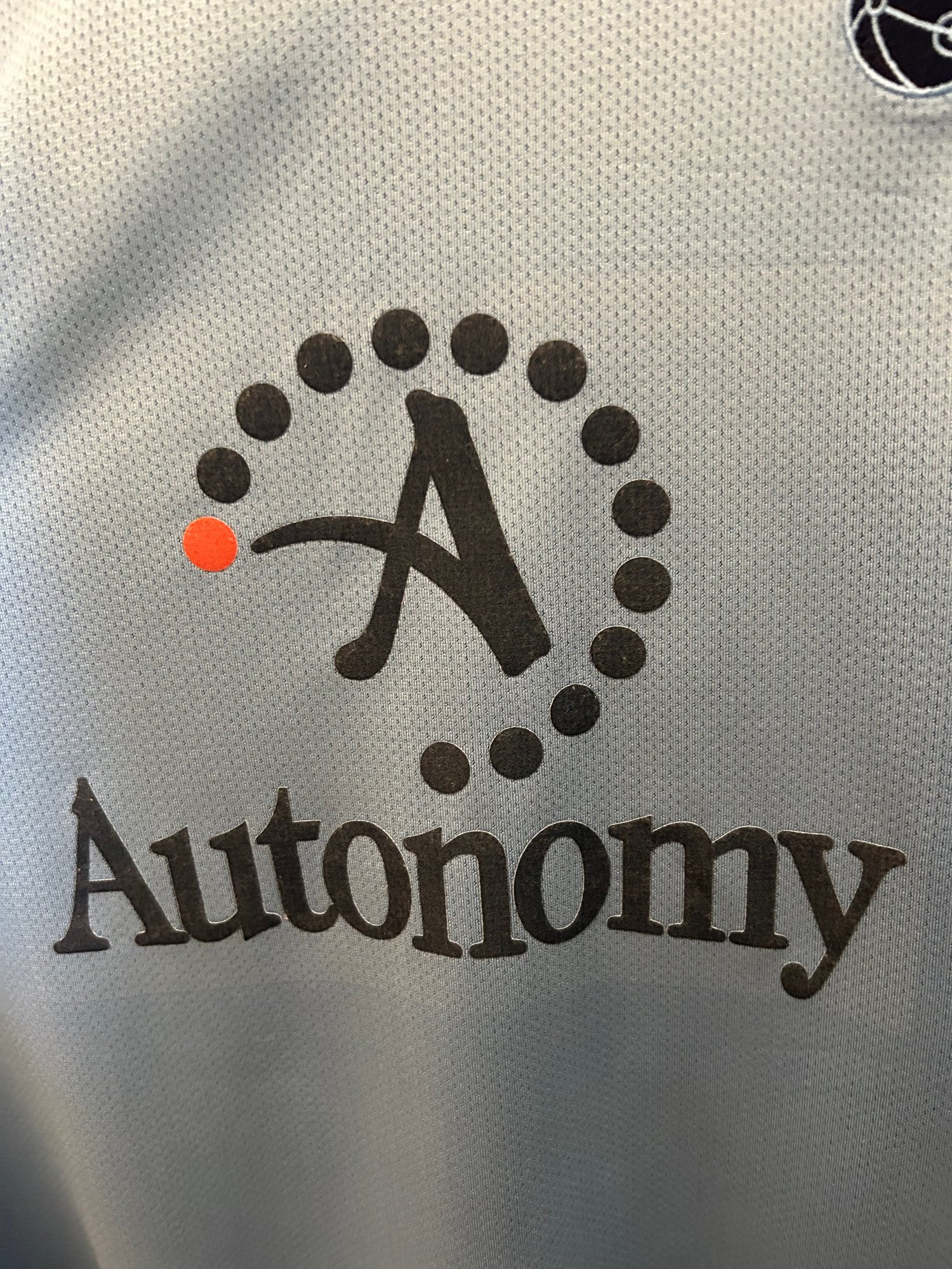 Image of Tottenham Hotspur “BALE 3” 2010/11 Match Issue LS Away Shirt + PL patches (XXL)