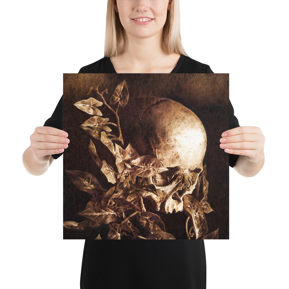 Photo Print: Human Skull and Vines