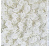 Image 2 of White 8x 8 flower backdrop  for rent only 