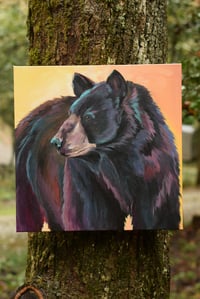 Image 3 of What the Light Carries