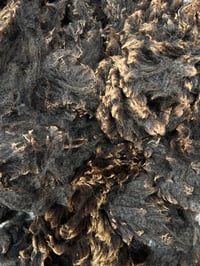 Image 1 of #15 Raw Harting Black Fleece - Dark Brown