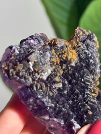 Image 7 of NATURAL RAINBOW IRIDESCENT CUBIC FLUORITE -CHINA- J