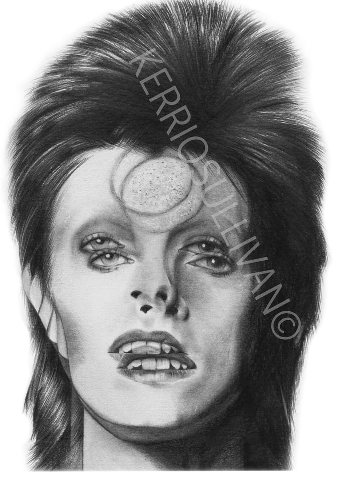 Kerri O Sullivan David Bowie Ziggy Stardust Realism Pencil Drawing Print