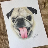 Image 1 of Pet Portraits