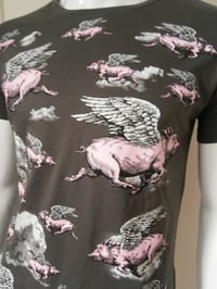 Image 1 of if pigs could fly