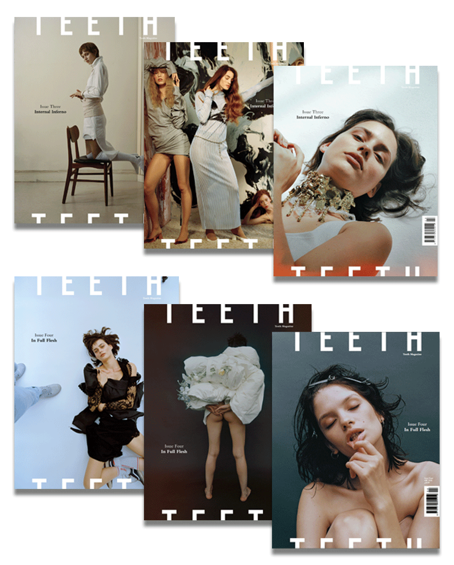 Image of 2016 Teeth Magazine Subscription Package (2 Issues)