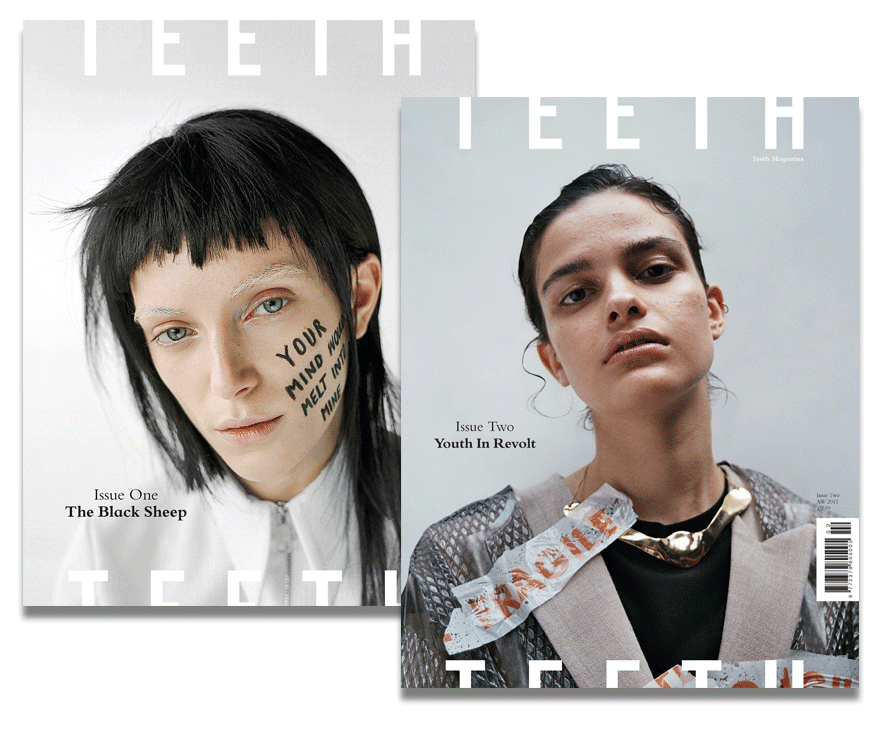 Image of 2015 Teeth Magazine Subscription Package (2 Issues)
