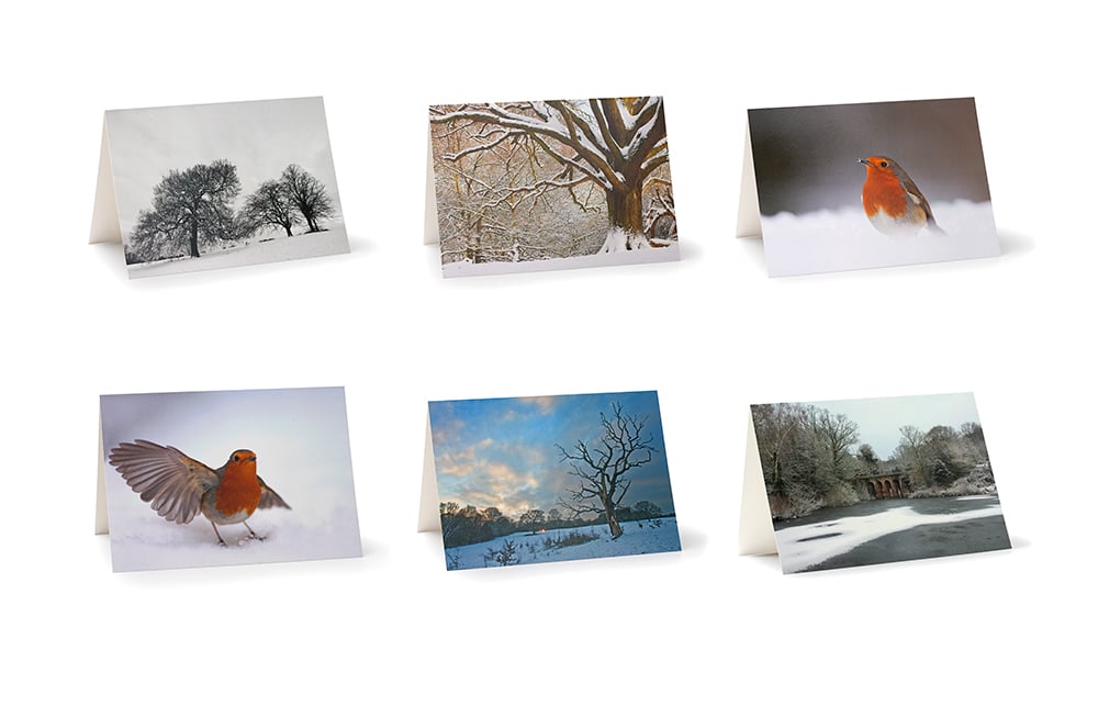 Image of Hampstead Heath - Christmas Cards